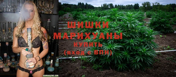 прущий лед Арсеньев