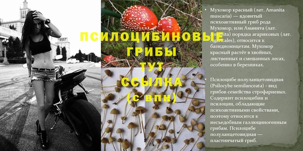 прущий лед Арсеньев