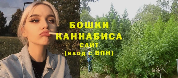 прущий лед Арсеньев
