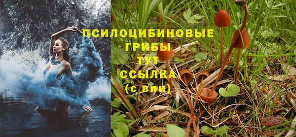 прущий лед Арсеньев