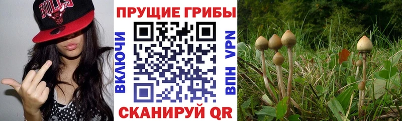 Псилоцибиновые грибы MAGIC MUSHROOMS  наркотики  Белорецк 