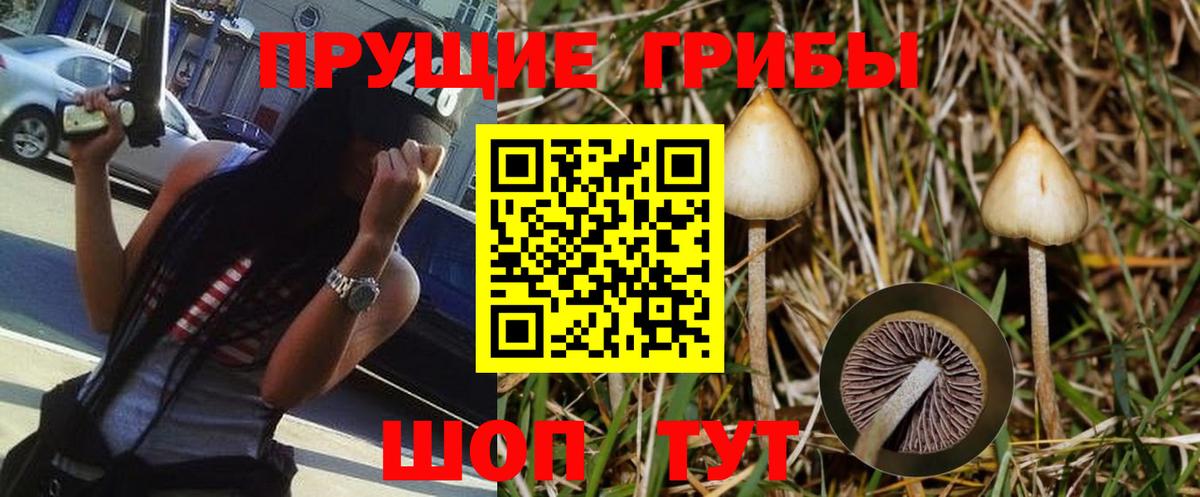 Белорецк  Галлюциногенные грибы Psilocybe  Вход с VPN 