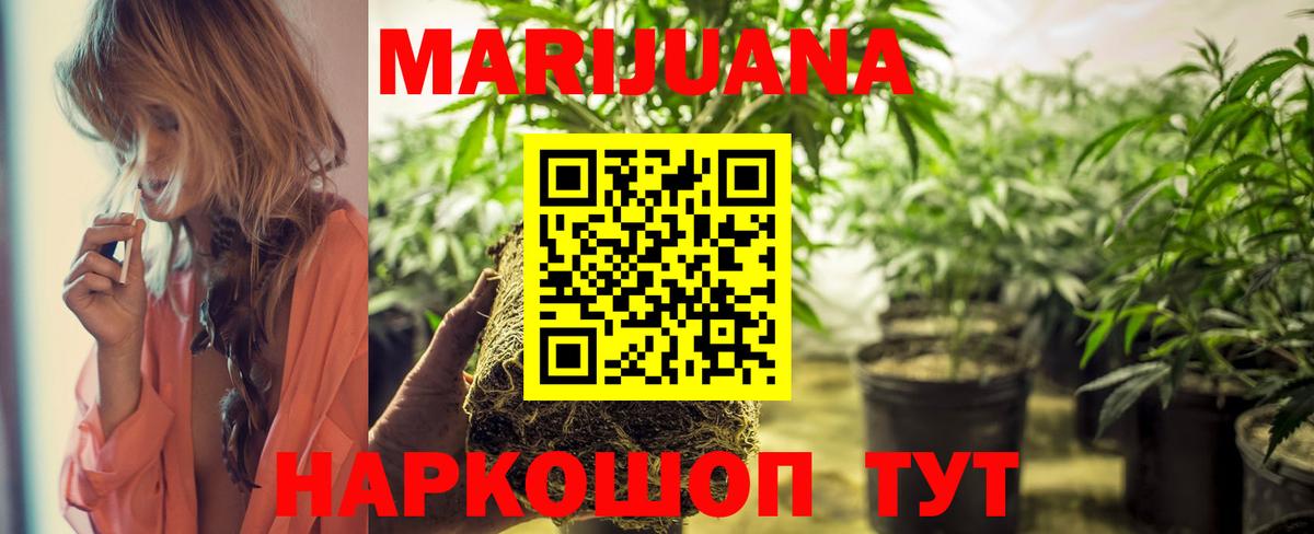 Конопля тримм  Марихуана план  Вход с VPN  Бошки марихуана сатива  Белорецк 
